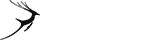 实打实服务的短信轰炸测试